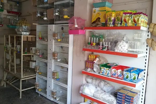 Yüce Petshop - Resim 10