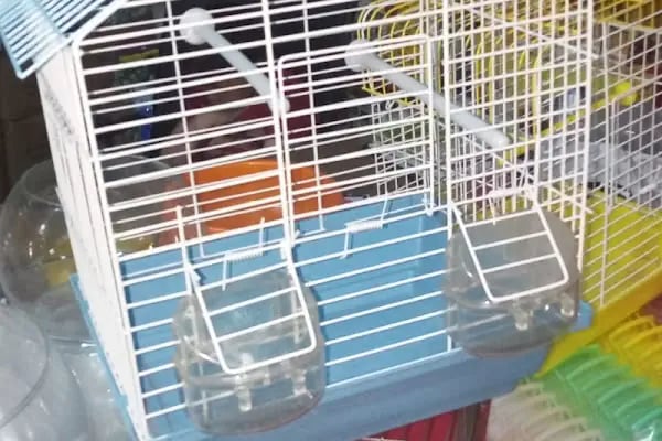 Yüce Petshop - Resim 6
