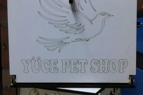 Yüce Petshop - Resim 17