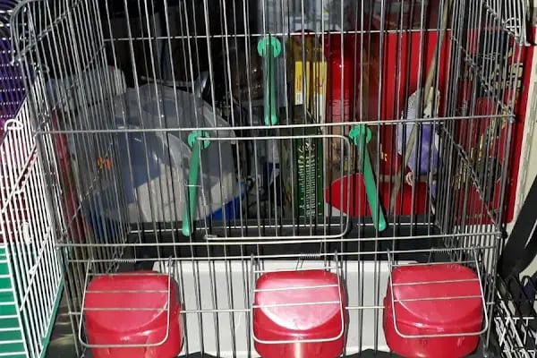 Yüce Petshop - Resim 12