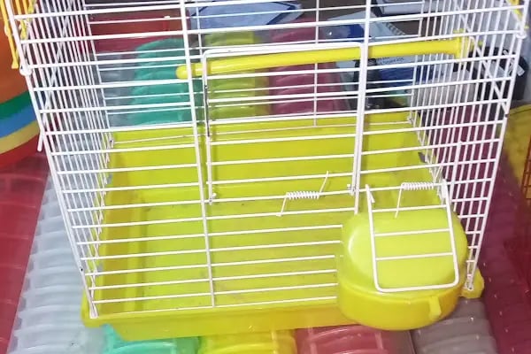Yüce Petshop - Resim 18