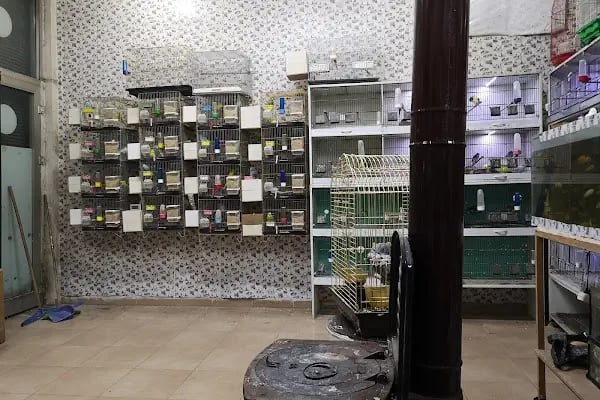 Yüce Petshop - Resim 7