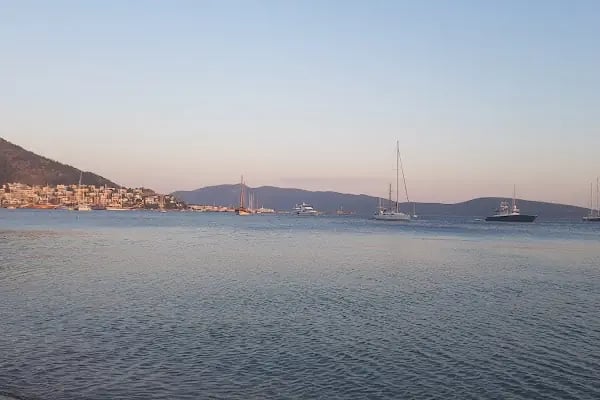 Moonlight Bar - Resim 15
