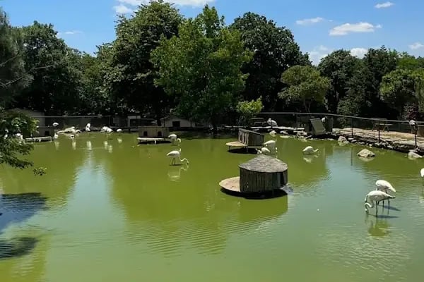 Polonezköy Yürüyüş Parkuru Başlangıcı - Resim 20