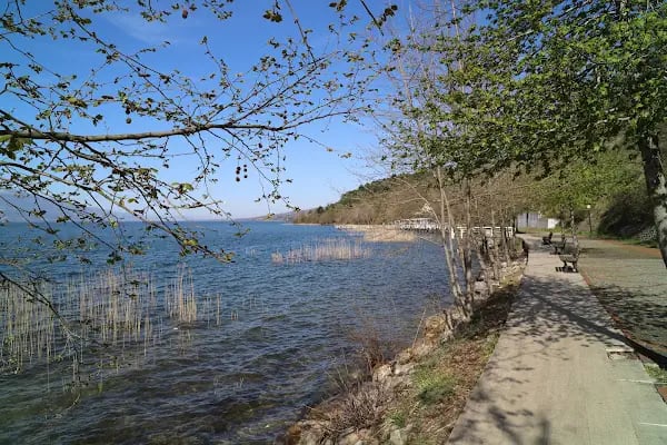 Gölkay Park - Resim 20