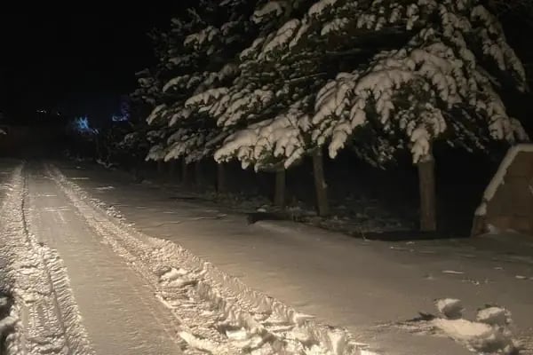 Karabey Besi Çifliği - Resim 17