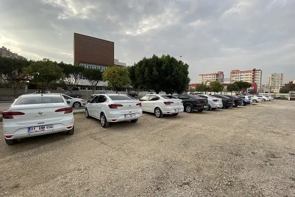Bonanza Car Rental - Resim 5