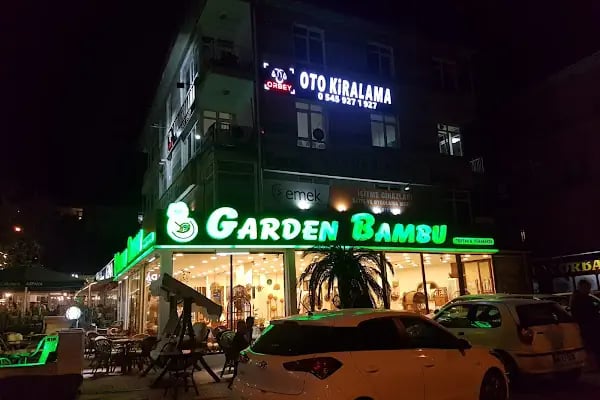 Orbey Oto Kiralama Ankara - Resim 4