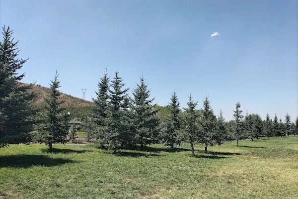 Güzelhisar Mesire Alanı - Resim 4