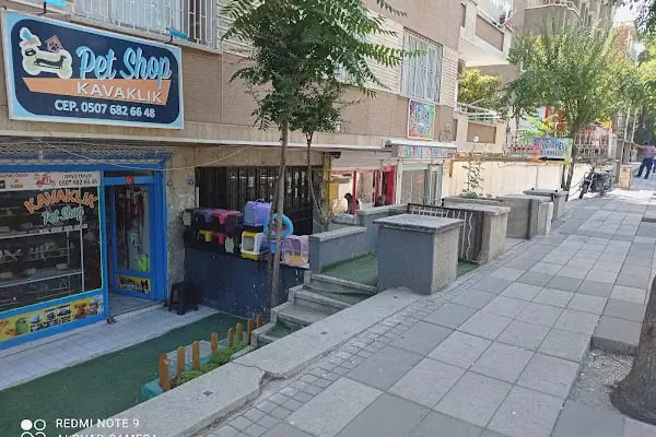 Petshop Kavaklık - Resim 7