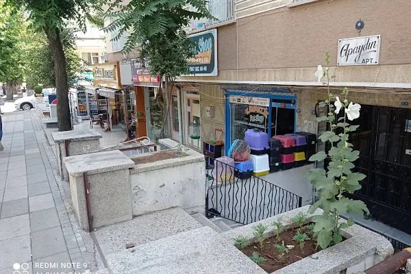 Petshop Kavaklık - Resim 6