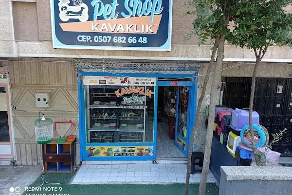 Petshop Kavaklık - Resim 16