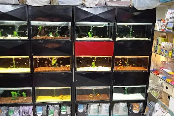 Petshop Kavaklık - Resim 15