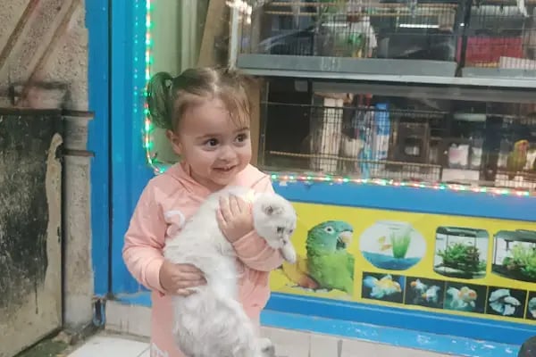 Petshop Kavaklık - Resim 14