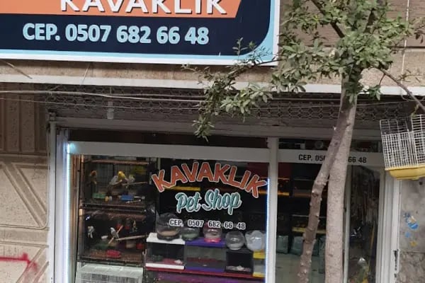 Petshop Kavaklık - Resim 19