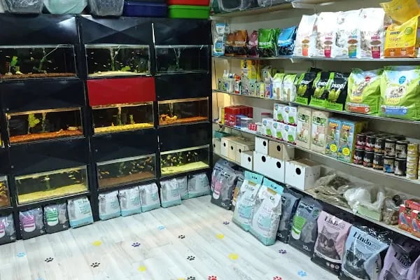 Petshop Kavaklık - Resim 11