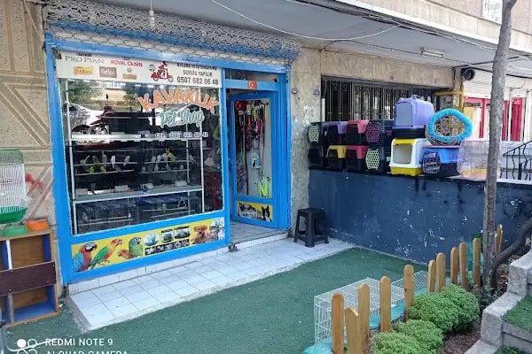 Petshop Kavaklık - Resim 10