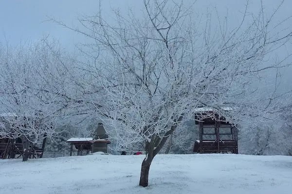 Honaz Dağı Milli Parkı - Resim 12