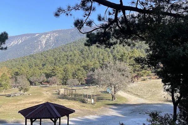 Honaz Dağı Milli Parkı - Resim 14