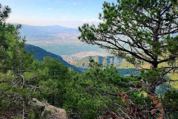 Honaz Dağı Milli Parkı - Resim 4