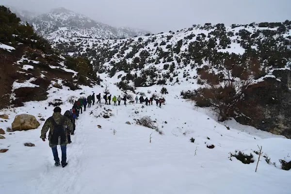 Honaz Dağı Milli Parkı - Resim 16