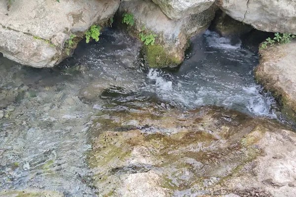 Honaz Dağı Milli Parkı - Resim 13