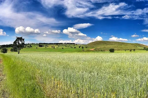 Honaz Dağı Milli Parkı - Resim 18