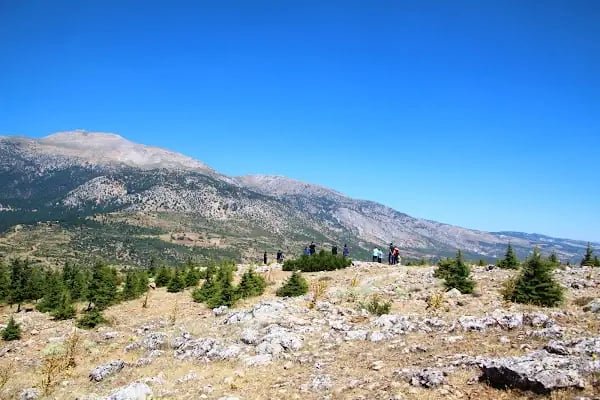 Honaz Dağı Milli Parkı - Resim 8
