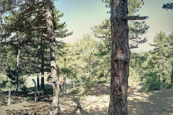Honaz Dağı Milli Parkı - Resim 3