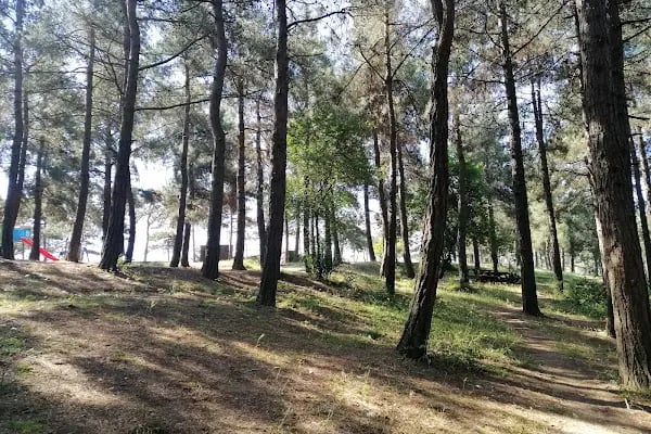 Şamlar Tabiat Parkı - Resim 2