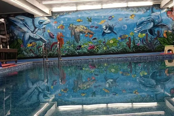 BuketGymSwim Bebek ve Çocuk Yüzme Eğitimi - Resim 4