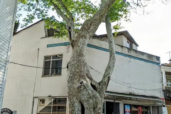 Anjelik Unlu Mamulleri Firini - Resim 3