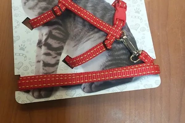 Şen Kardeşler Petshop - Resim 4