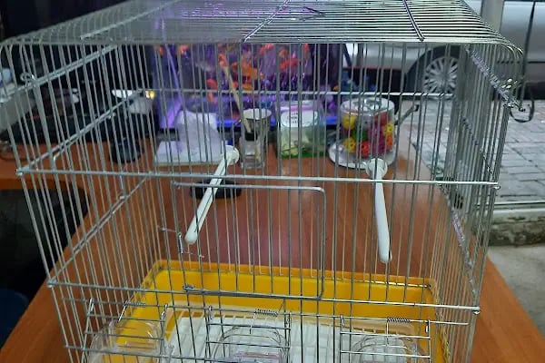 Şen Kardeşler Petshop - Resim 10
