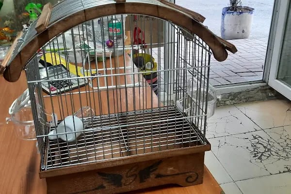 Şen Kardeşler Petshop - Resim 19