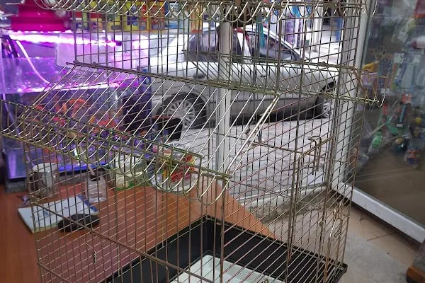 Şen Kardeşler Petshop - Resim 13