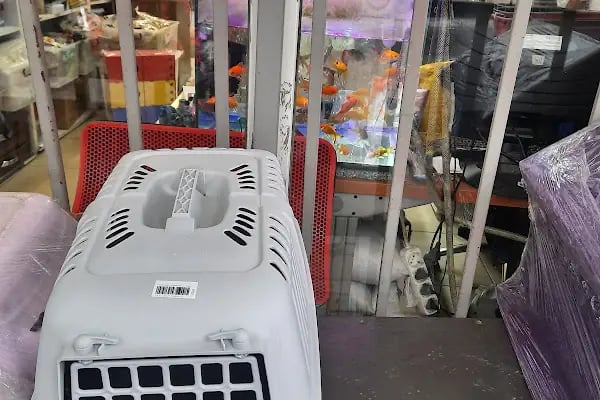 Şen Kardeşler Petshop - Resim 15