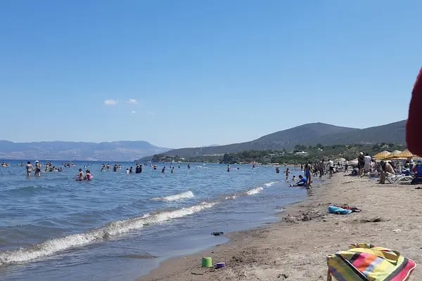Tekin Aile Kampı - Resim 14
