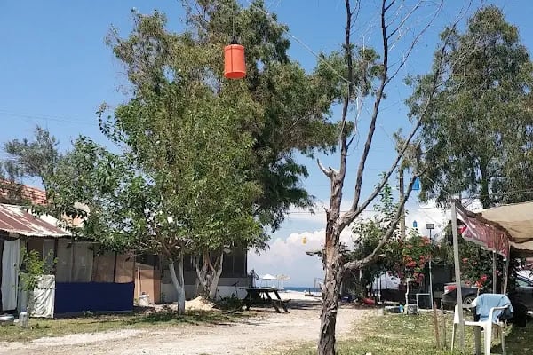 Tekin Aile Kampı - Resim 11