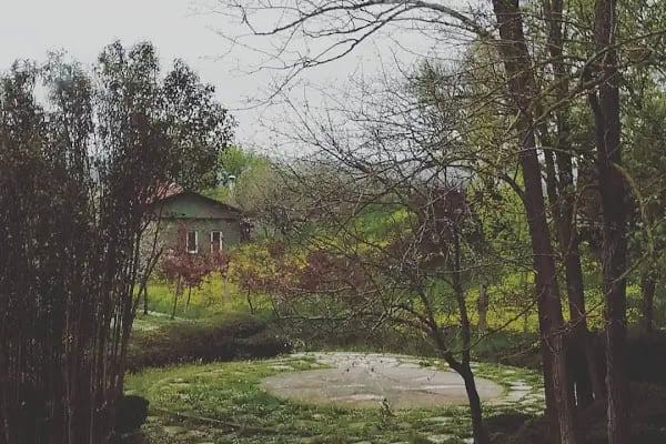 Green Roof Boutique Hotel & SPA - Resim 4