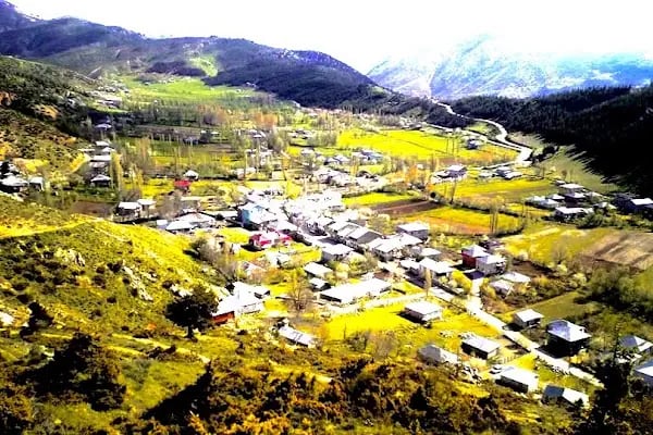 Mansurlu Cami - Resim 8