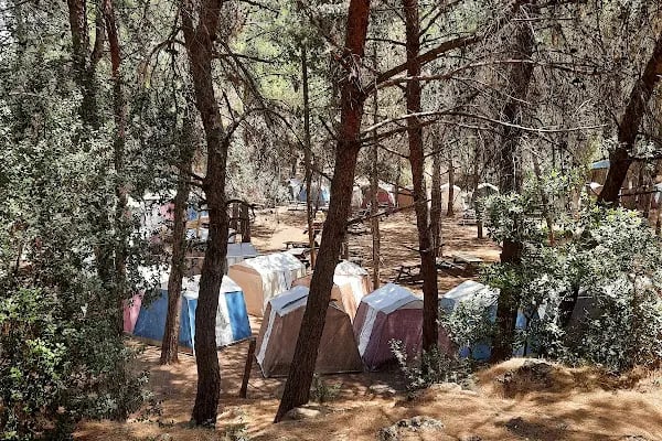 Gümüldür Tabiat Parkı - Resim 11