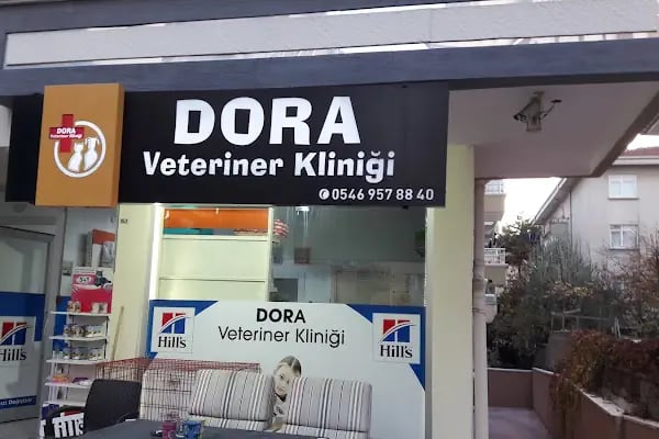 Dora Veteriner Kliniği - Resim 17