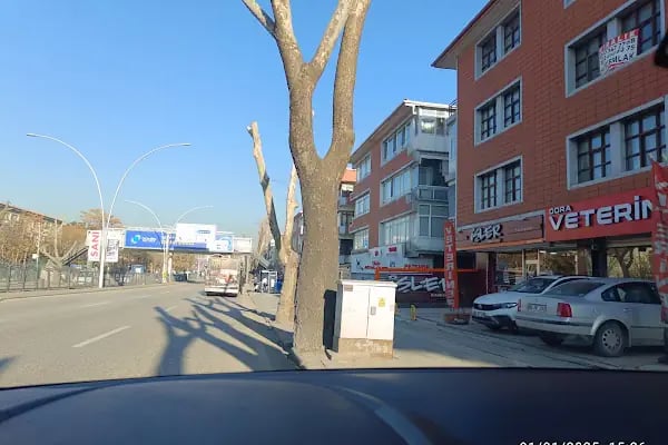 Dora Veteriner Kliniği - Resim 9