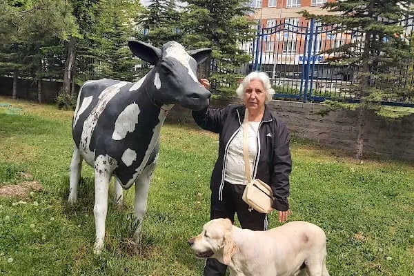 Dora Veteriner Kliniği - Resim 5
