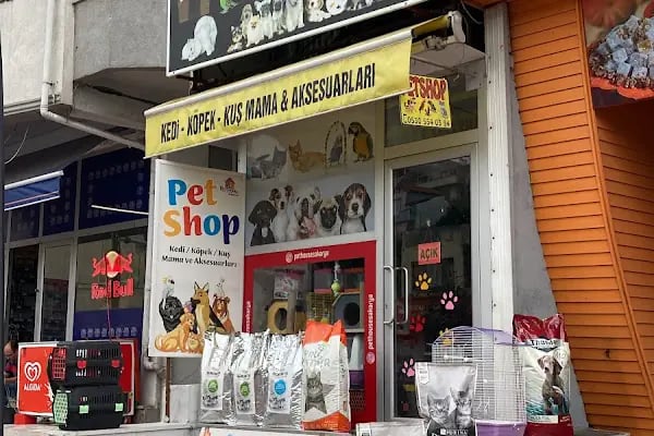 PET HOUSE SAKARYA - Resim 18