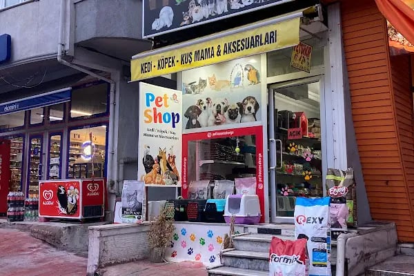 PET HOUSE SAKARYA - Resim 12