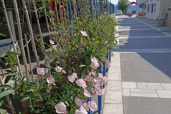 Nisan Cafe - Resim 18