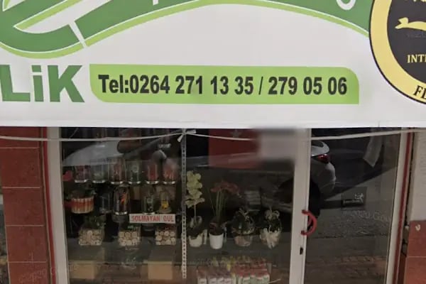 VAW Çiçek &amp; Çikolata &amp; Organizasyon 3 - Resim 11