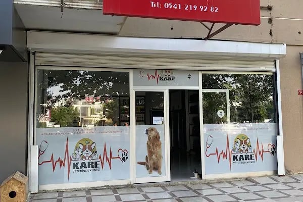 Kare Veteriner Kliniği - Resim 11